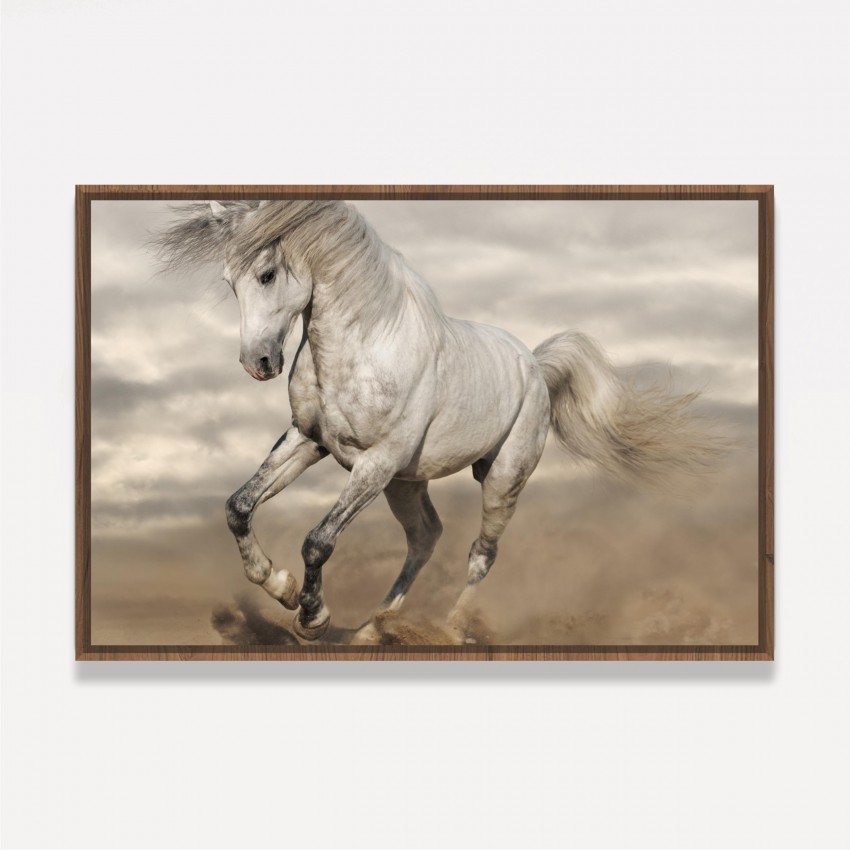 Quadro em Tela Cavalo branco correndo para a frente com poeira