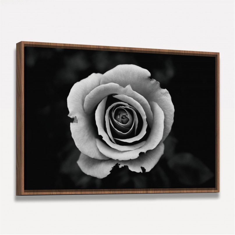 Quadro Flor de Rosa em Preto e Branco