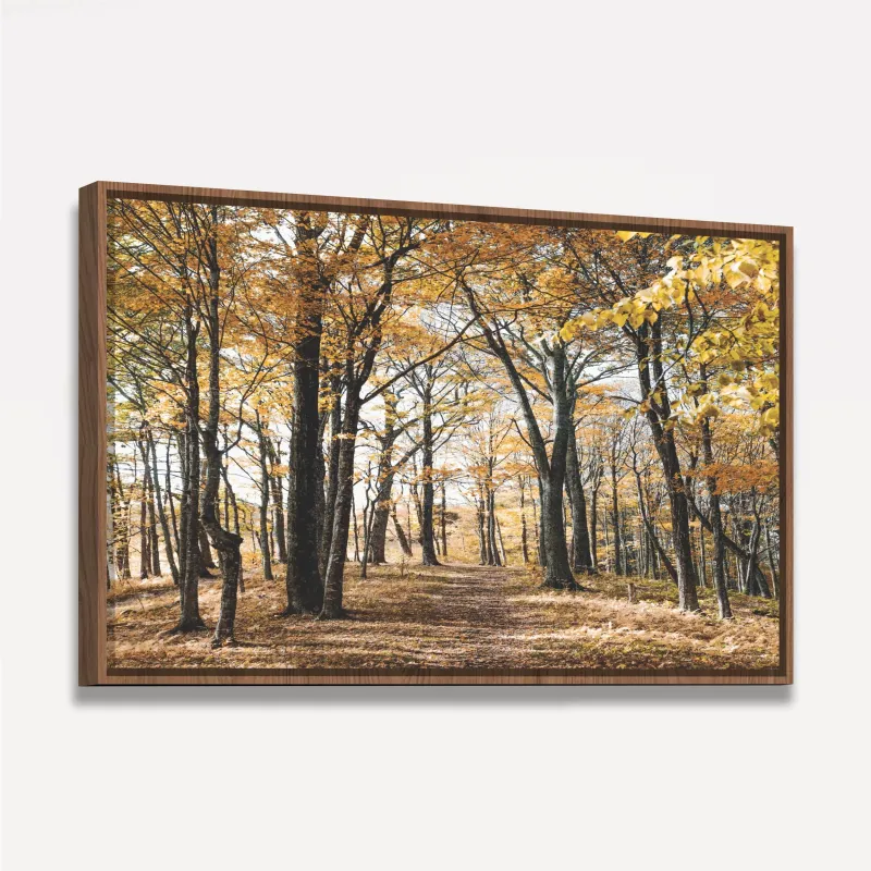 Quadro Árvores Folhas Amarelas Paisagem Floresta Outono