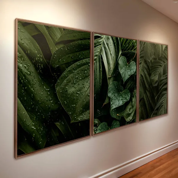 Quadro Plantas Naturais Folhagem Maravilhosa Gotas de Chuva