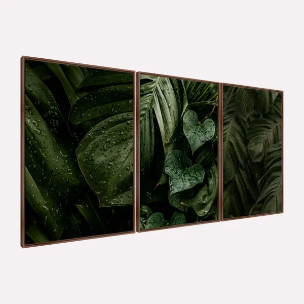 Quadro Plantas Naturais Folhagem Maravilhosa Gotas de Chuva