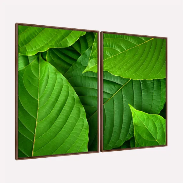 Quadro Folhas Texturas Naturais Verde Clássico
