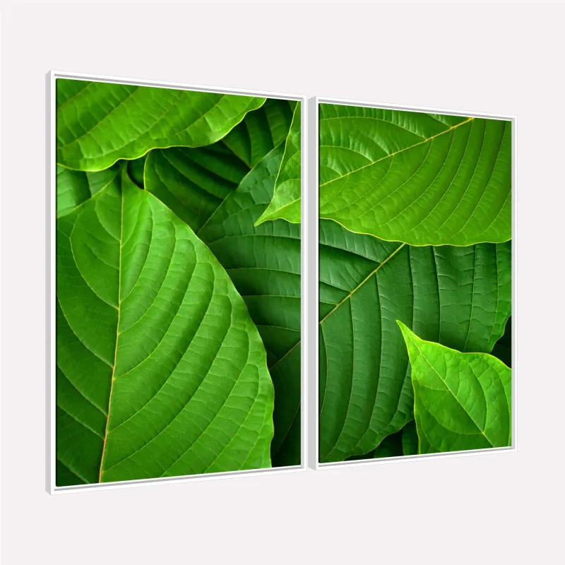 Quadro Folhas Texturas Naturais Verde Clássico