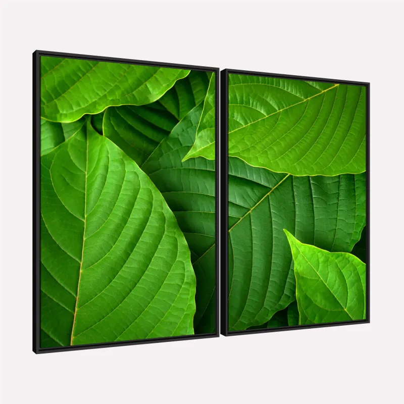 Quadro Folhas Texturas Naturais Verde Clássico