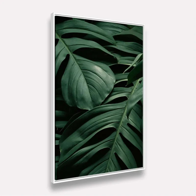 Quadro Folhas Naturais Costela de Adão Verde Escuro