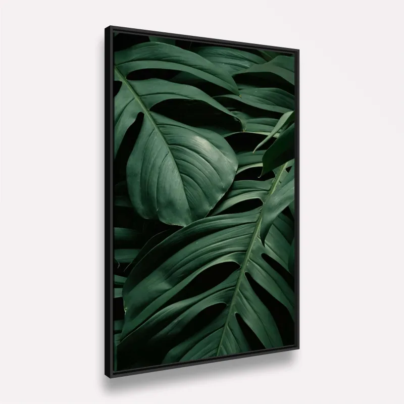 Quadro Folhas Naturais Costela de Adão Verde Escuro