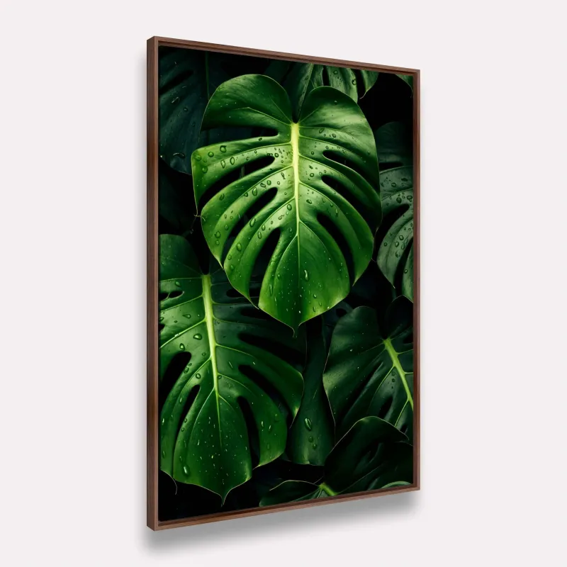 Quadros Folhas de Monstera Tropical Gotas de Chuva