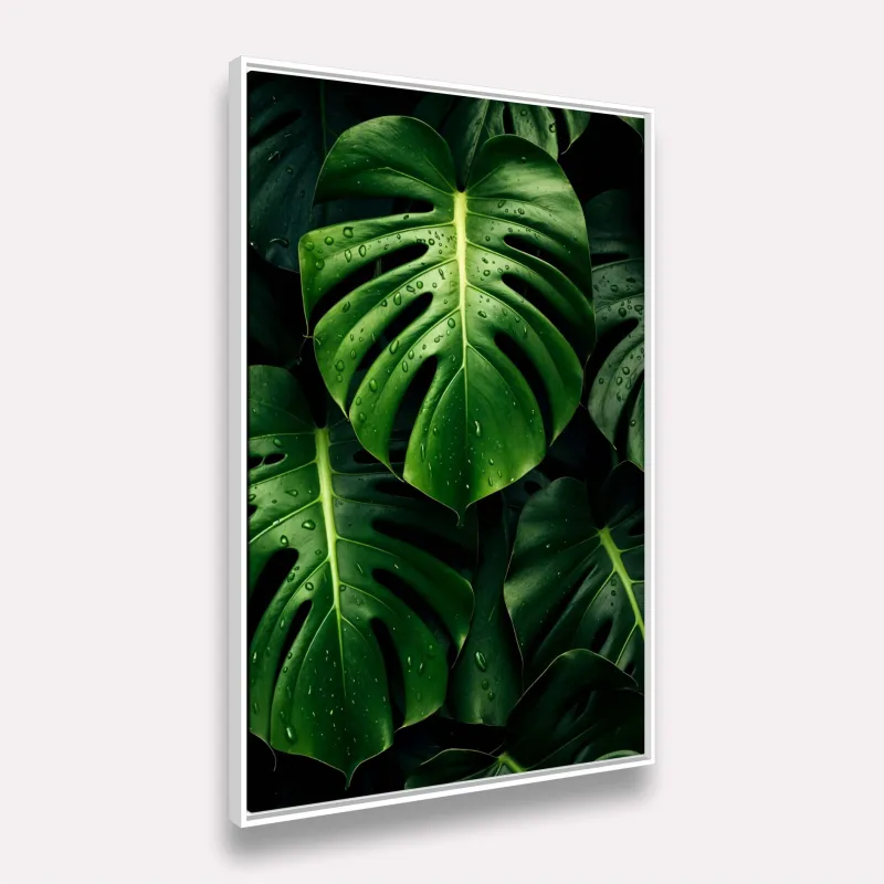 Quadros Folhas de Monstera Tropical Gotas de Chuva