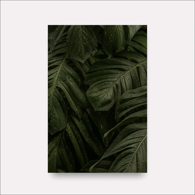 Quadro Folhas Molhadas Monstera Costela de Adão