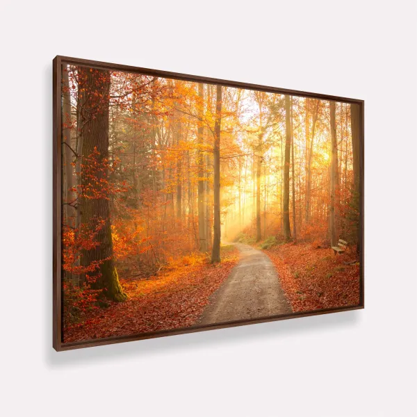 Quadro Paisagem Caminho do Sol Encanto das Cores Outonais