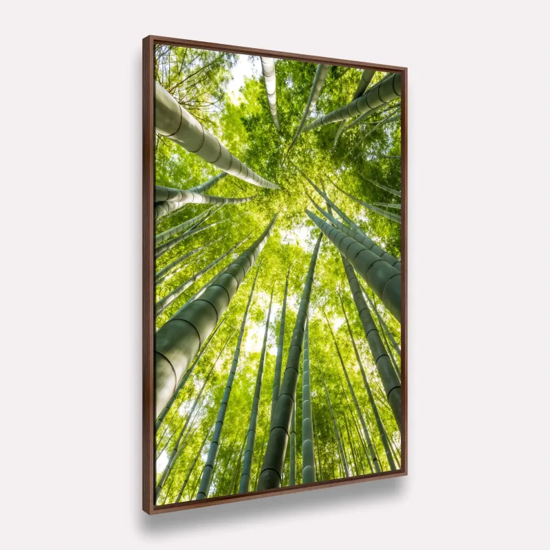 Quadro Paisagem Floresta de Bambu Perspectiva Infinita