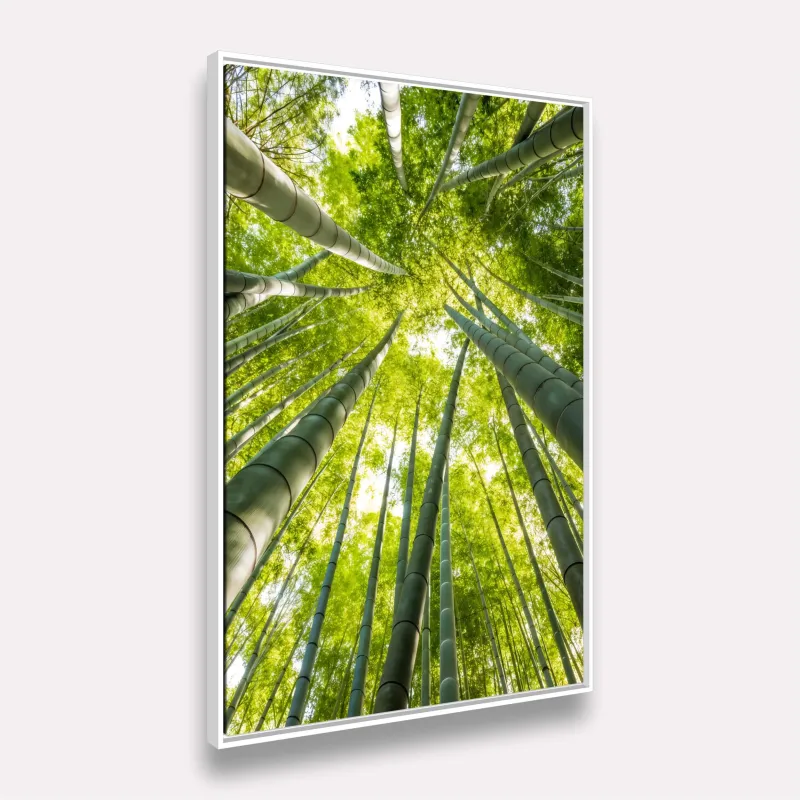 Quadro Paisagem Floresta de Bambu Perspectiva Infinita