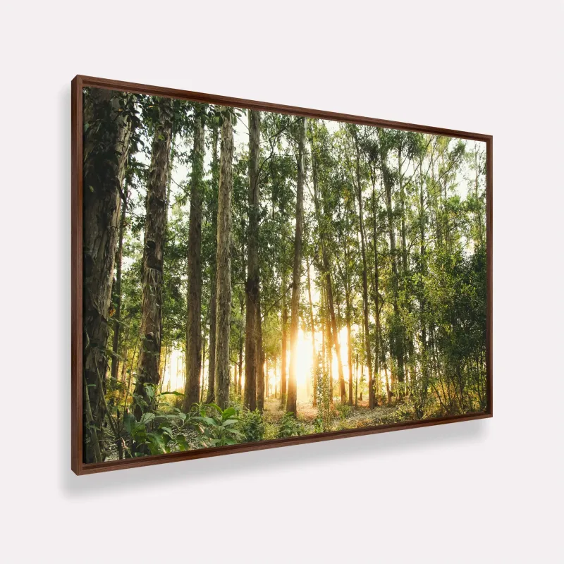 Quadro Paisagem Brilho na Natureza O Sol entre as Árvores