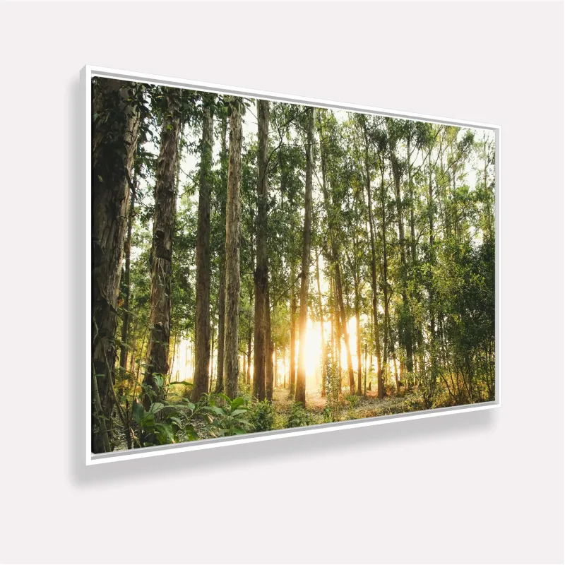 Quadro Paisagem Brilho na Natureza O Sol entre as Árvores