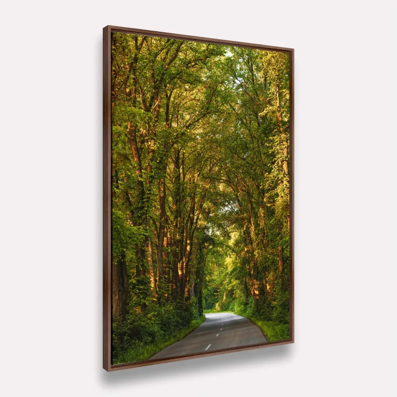 Quadro Paisagem Estrada em Meio à Floresta