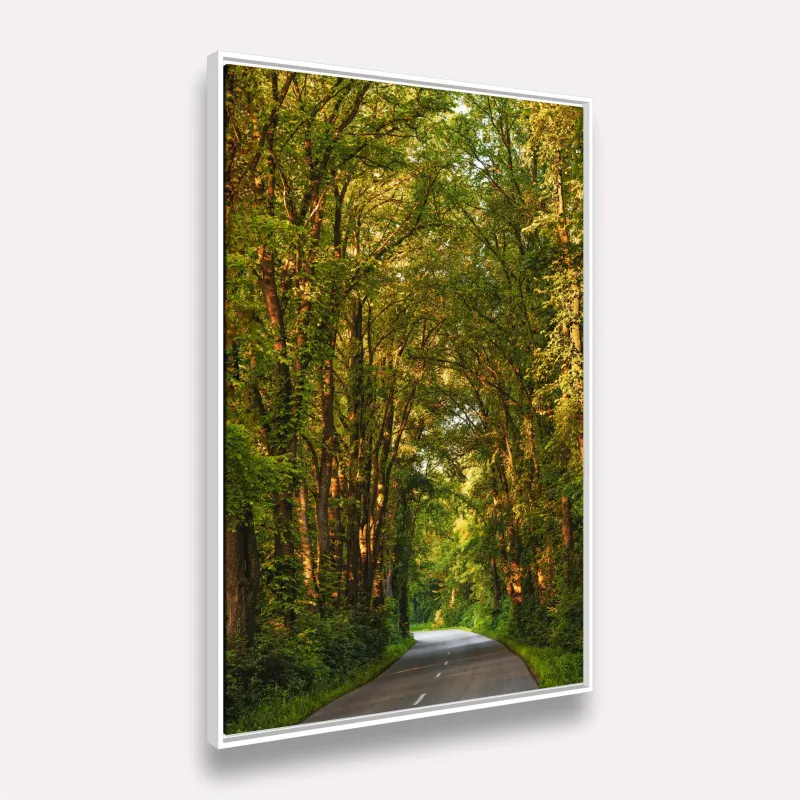 Quadro Paisagem Estrada em Meio à Floresta