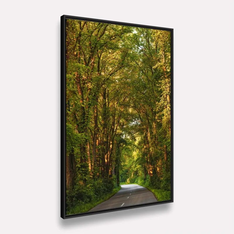 Quadro Paisagem Estrada em Meio à Floresta