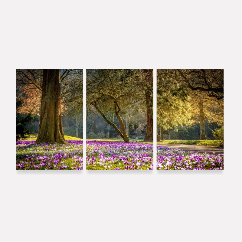 Quadro Paisagem Natureza Radiante Árvores e Flores Roxas