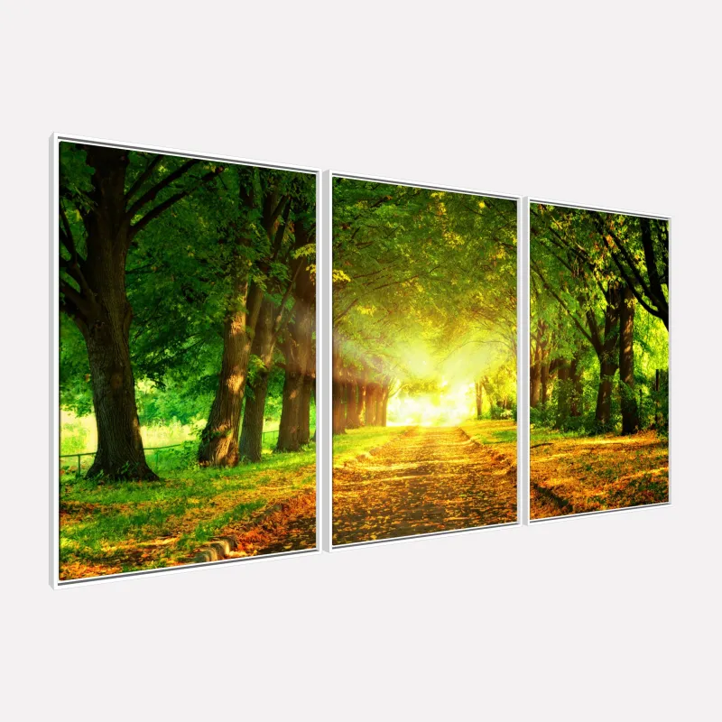 Quadro Paisagem Árvores dos Sonhos Caminho Iluminado