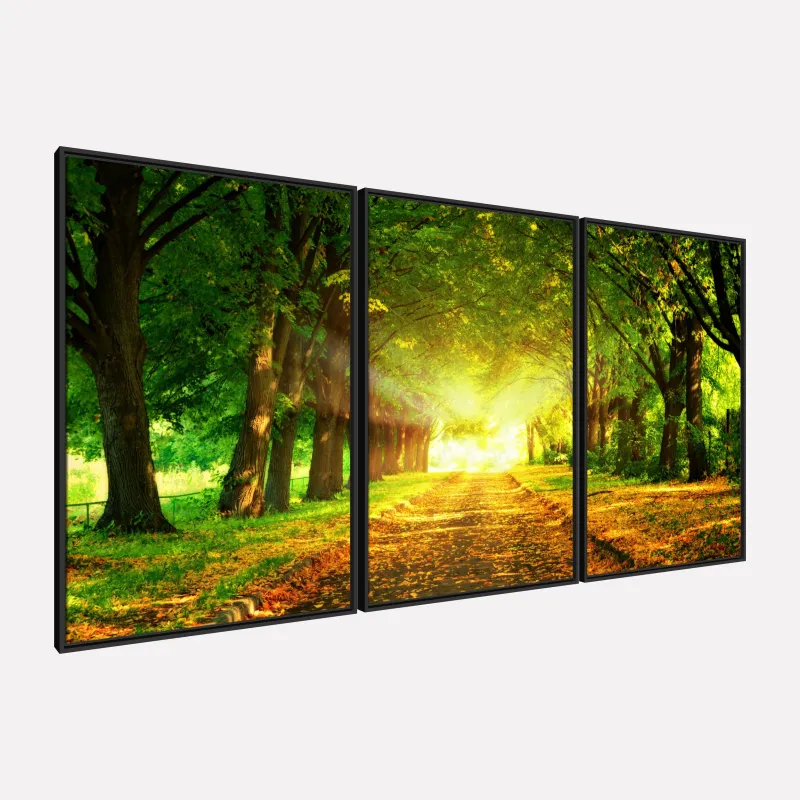 Quadro Paisagem Árvores dos Sonhos Caminho Iluminado