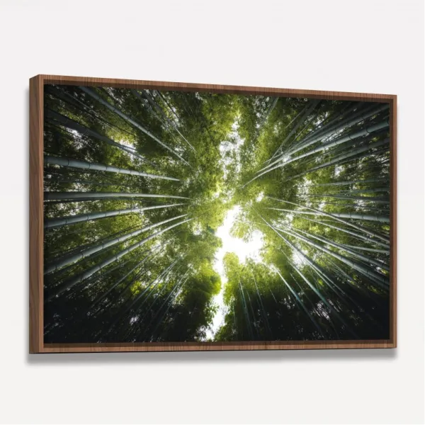 Quadro Floresta de Bambus Folhas Verde