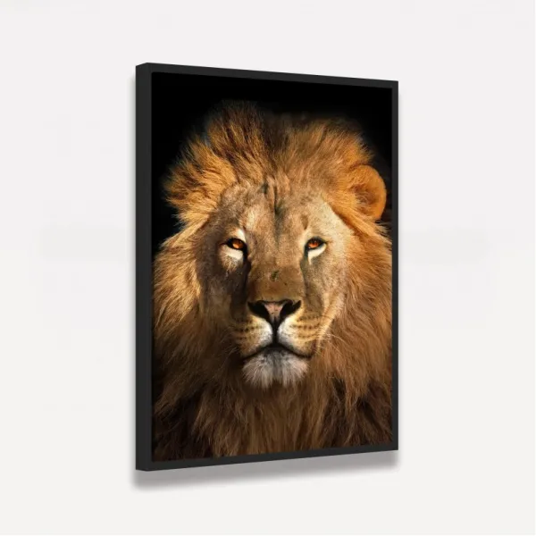 Quadro Leão Africano Olhar Imponente