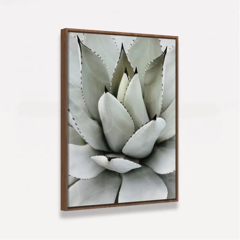 Quadro Decorativo Babosa Tropical 