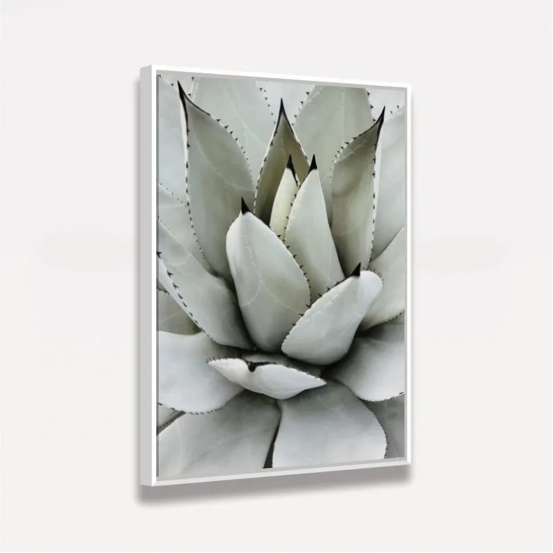 Quadro Decorativo Babosa Tropical 