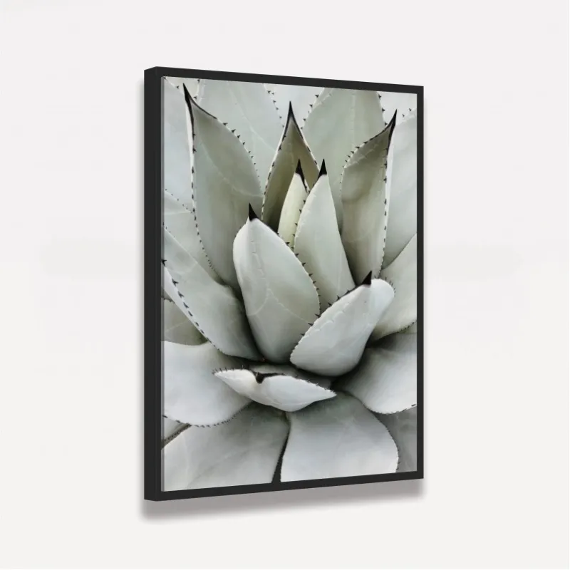 Quadro Decorativo Babosa Tropical 