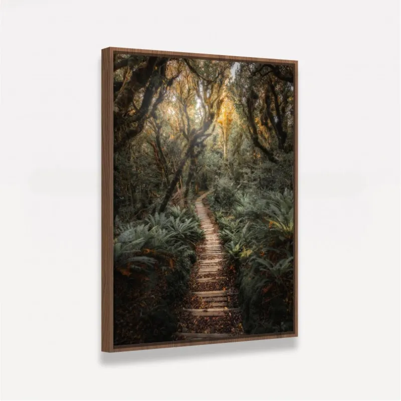 Quadro Paisagem Trilha de Madeira entre a Floresta