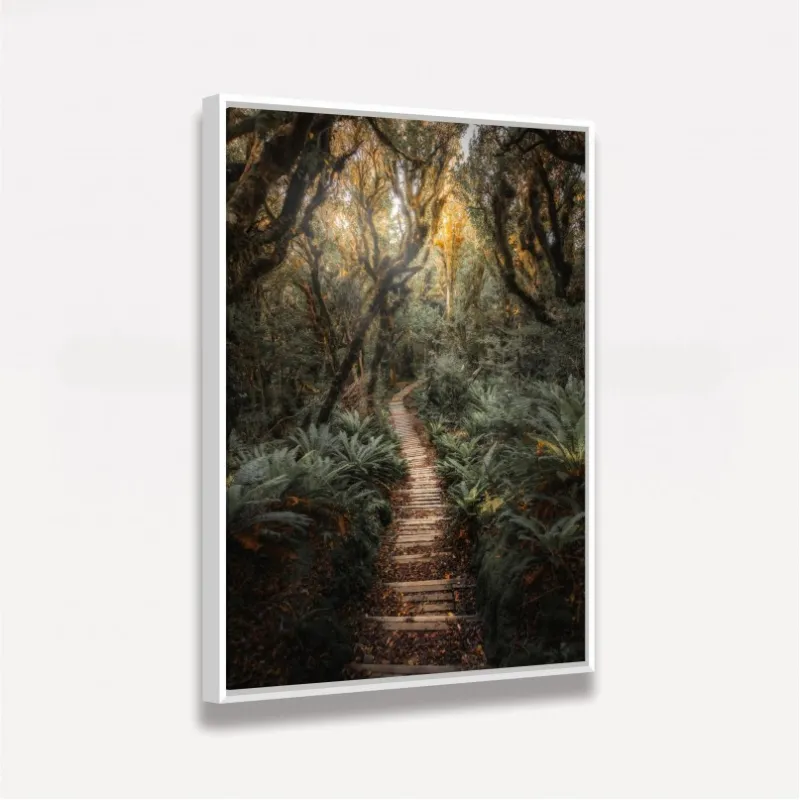 Quadro Paisagem Trilha de Madeira entre a Floresta