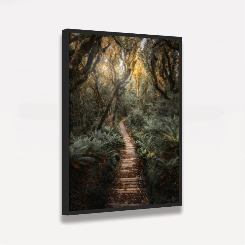 Quadro Paisagem Trilha de Madeira entre a Floresta