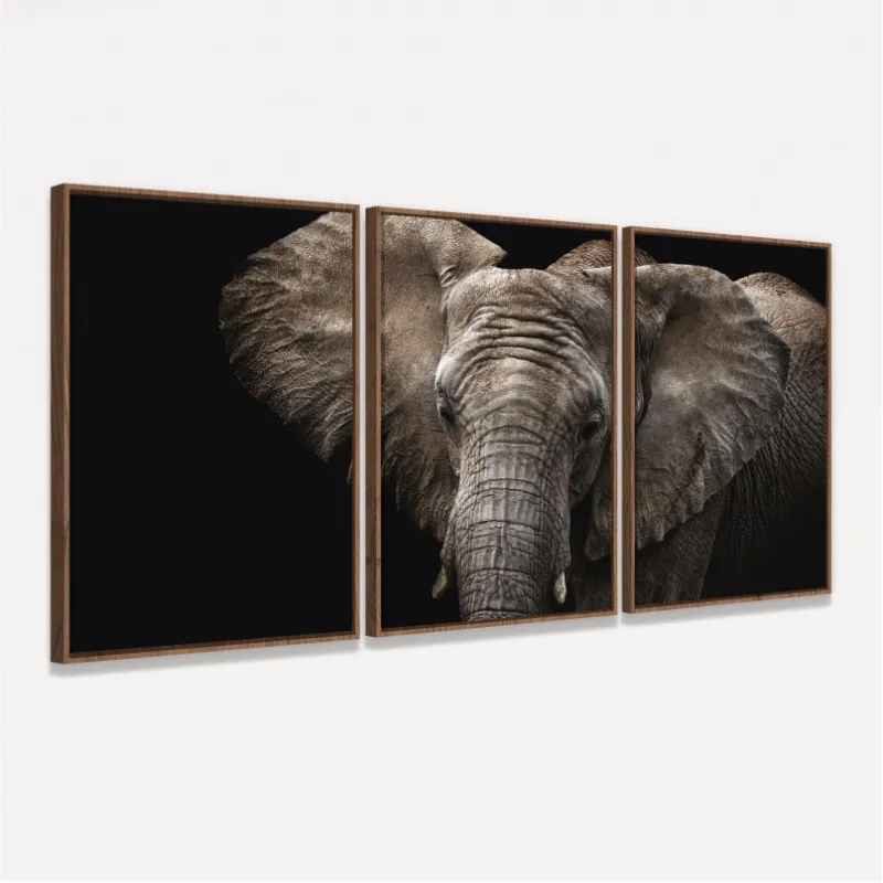 Quadro Elefante em Arte - 3 Peças