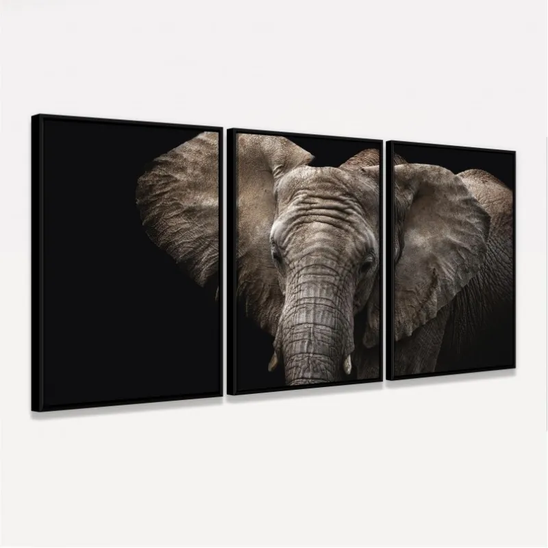 Quadro Elefante em Arte - 3 Peças