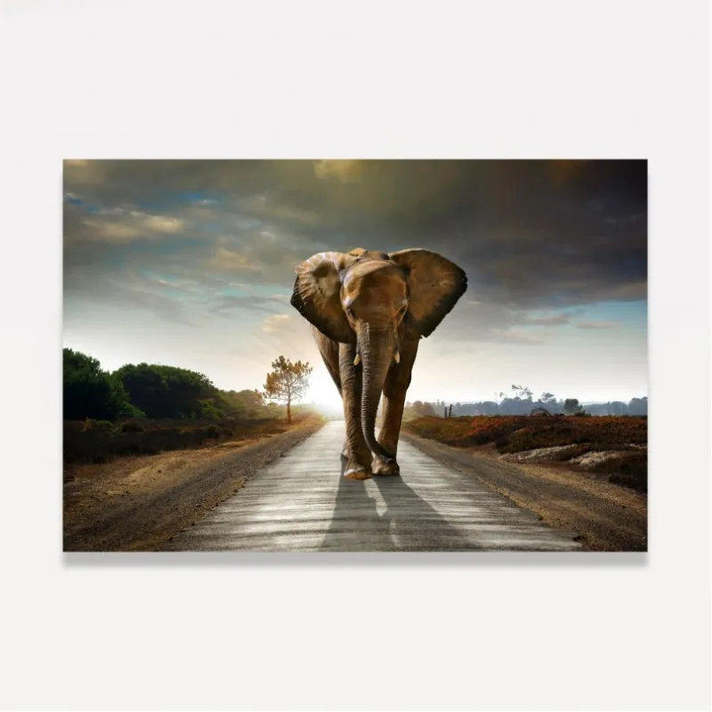 Quadro Elefante Caminhando em Arte