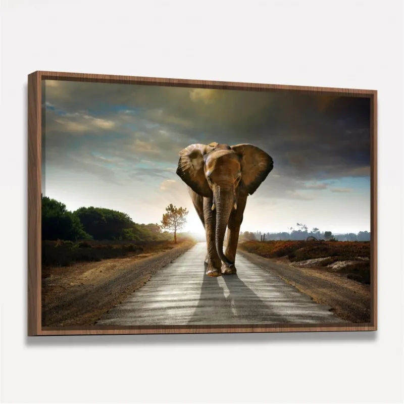 Quadro Elefante Caminhando em Arte