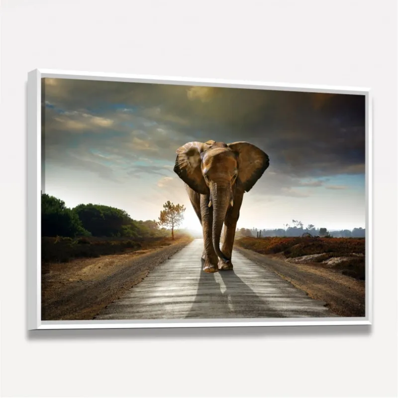 Quadro Elefante Caminhando em Arte