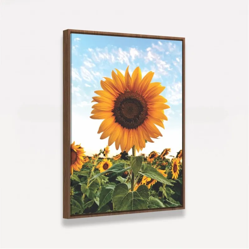 Quadro Flor de Girassol Ao Céu Azul - Amazing Sunflower