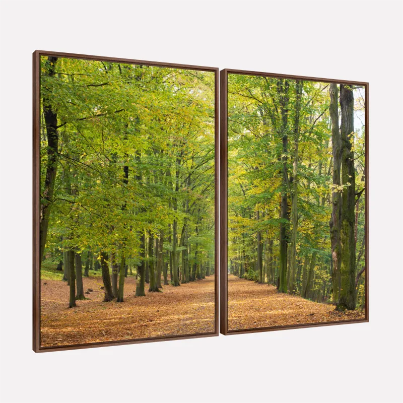 Quadro Paisagem Caminho Natural