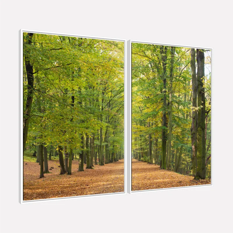 Quadro Paisagem Caminho Natural