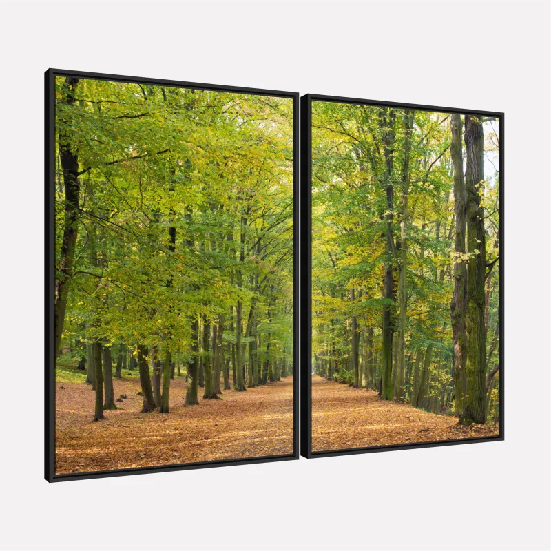 Quadro Paisagem Caminho Natural