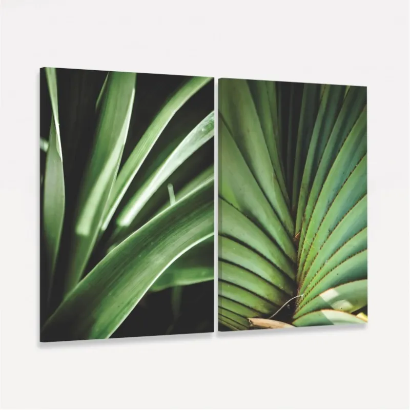 Quadro Plantas Natural Botânica - 2 Peças