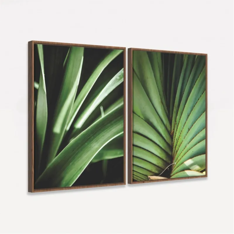 Quadro Plantas Natural Botânica - 2 Peças