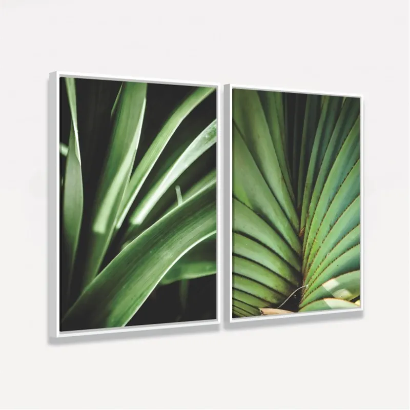 Quadro Plantas Natural Botânica - 2 Peças