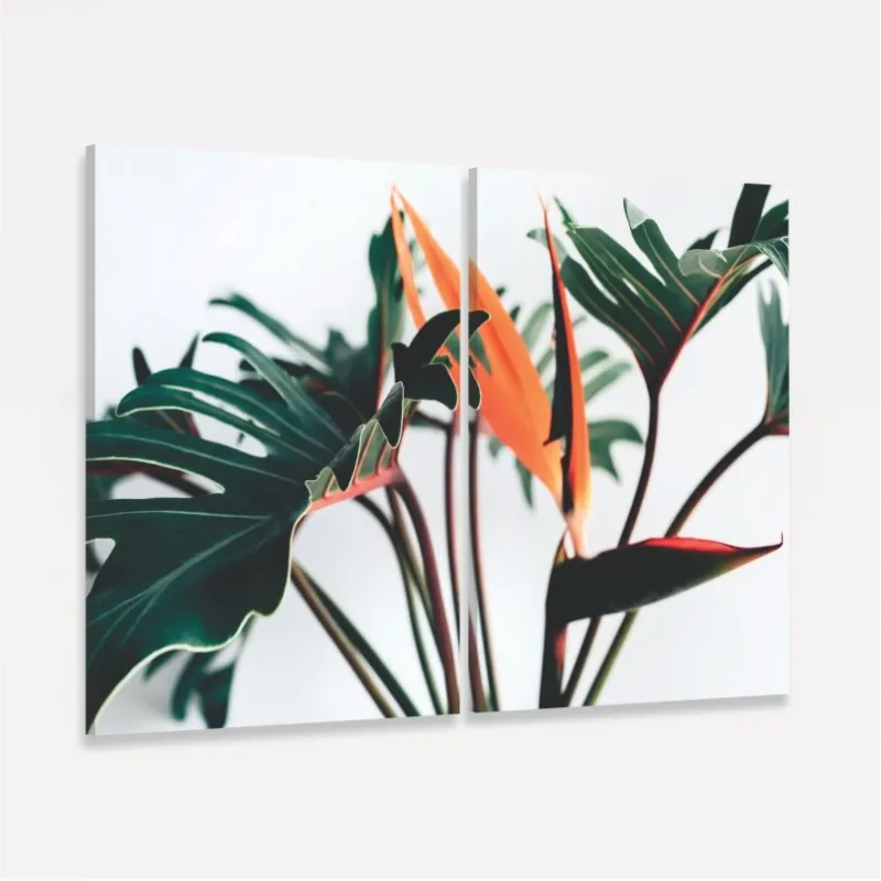 Quadro Folhas de Strelizia - Duo Tropical Exótico