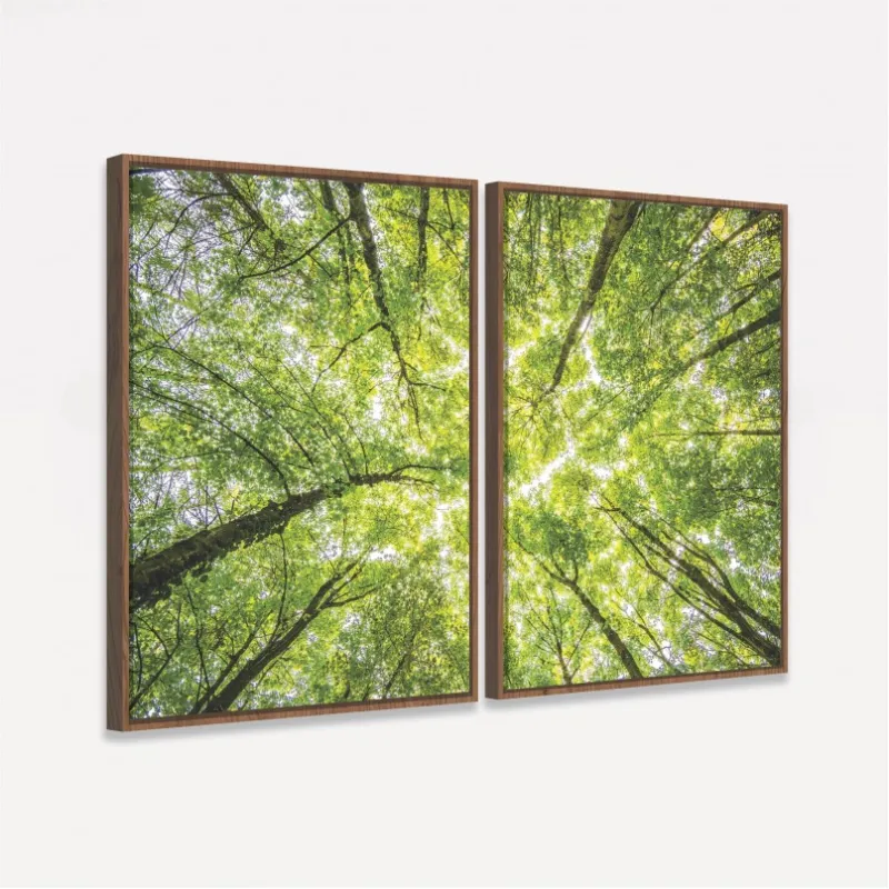 Quadro Árvores Topo de Floresta - Folhagem Verde