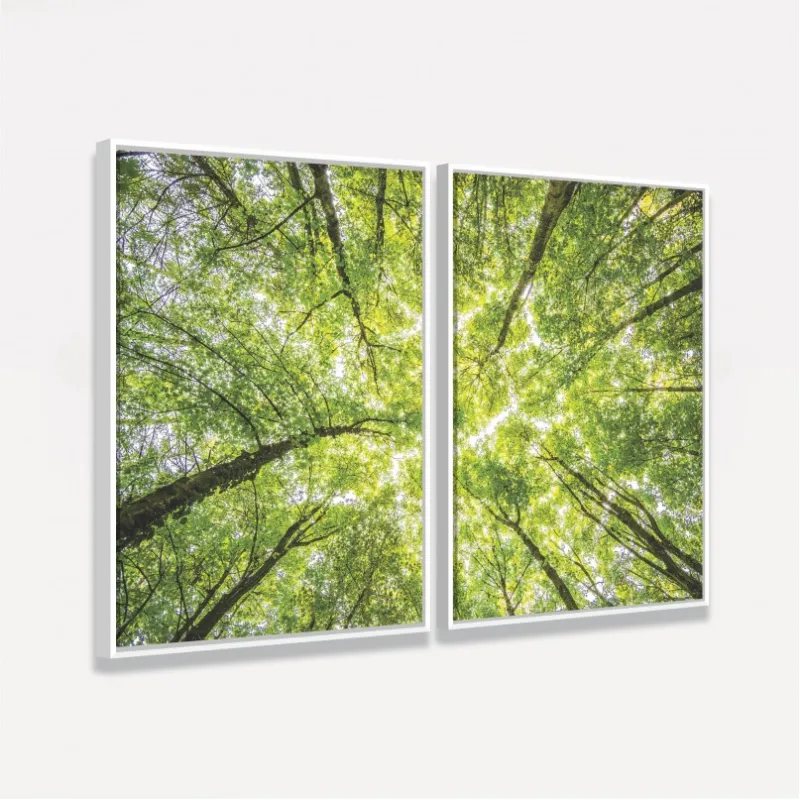 Quadro Árvores Topo de Floresta - Folhagem Verde