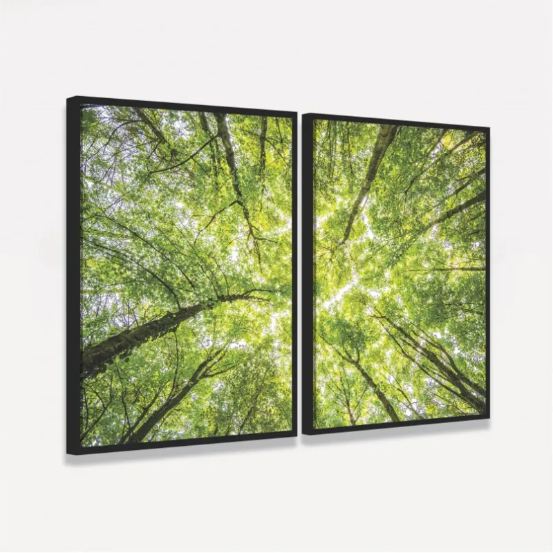 Quadro Árvores Topo de Floresta - Folhagem Verde