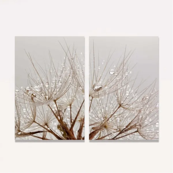 Quadro Dente de Leão Floral Gotas de Água Delicadas