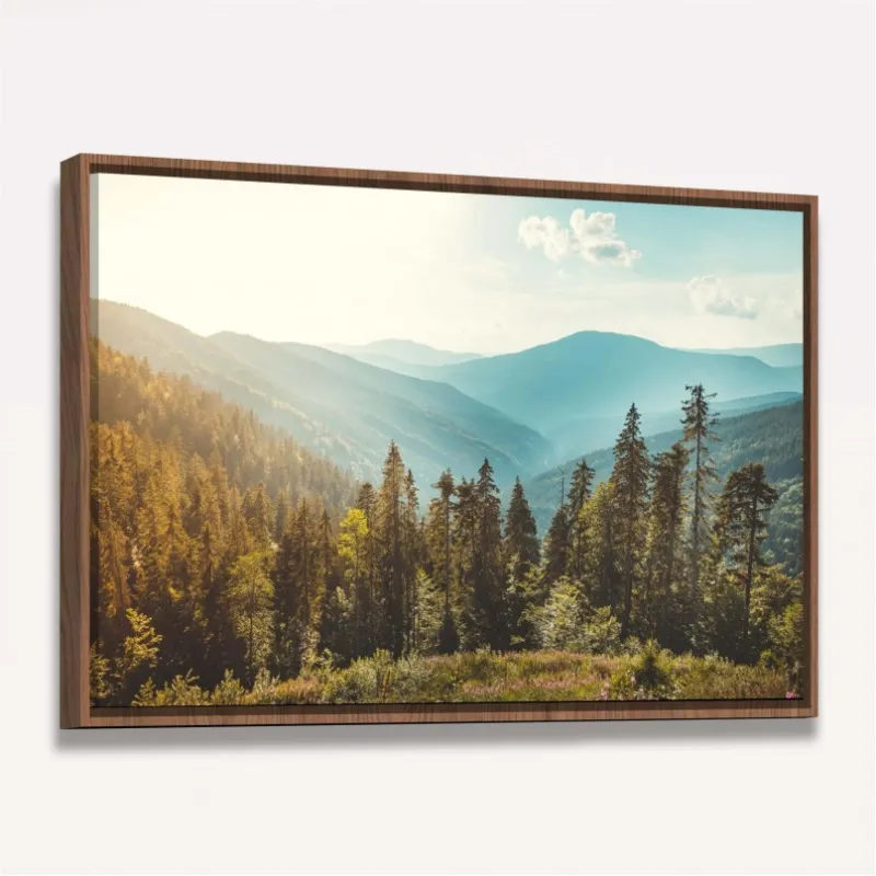 Quadro Vista Floresta de Coníferas Montanhas Paisagem